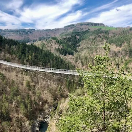 Atypique 14 Couchages En Pleine Nature Tatil Evi